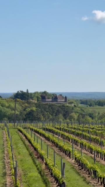 Aire camping-car � Belv�s-de-Castillon (33350) - Photo 7